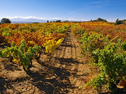 Landschap La Rioja Landschap La Rioja